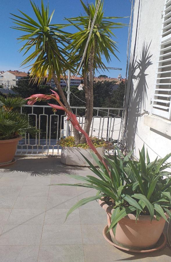 Plavi Zal Apartment Dubrovnik Buitenkant foto