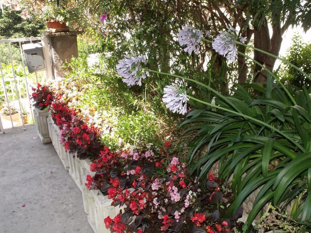 Plavi Zal Apartment Dubrovnik Buitenkant foto
